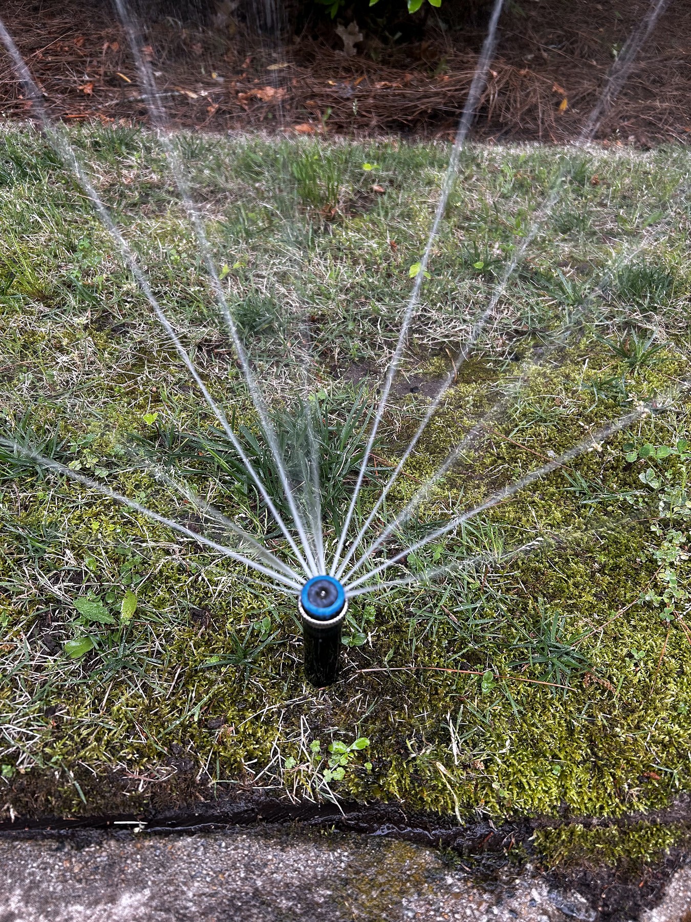 Diagnosing Uneven Coverage: Why Your Lawn Has Dry Spots