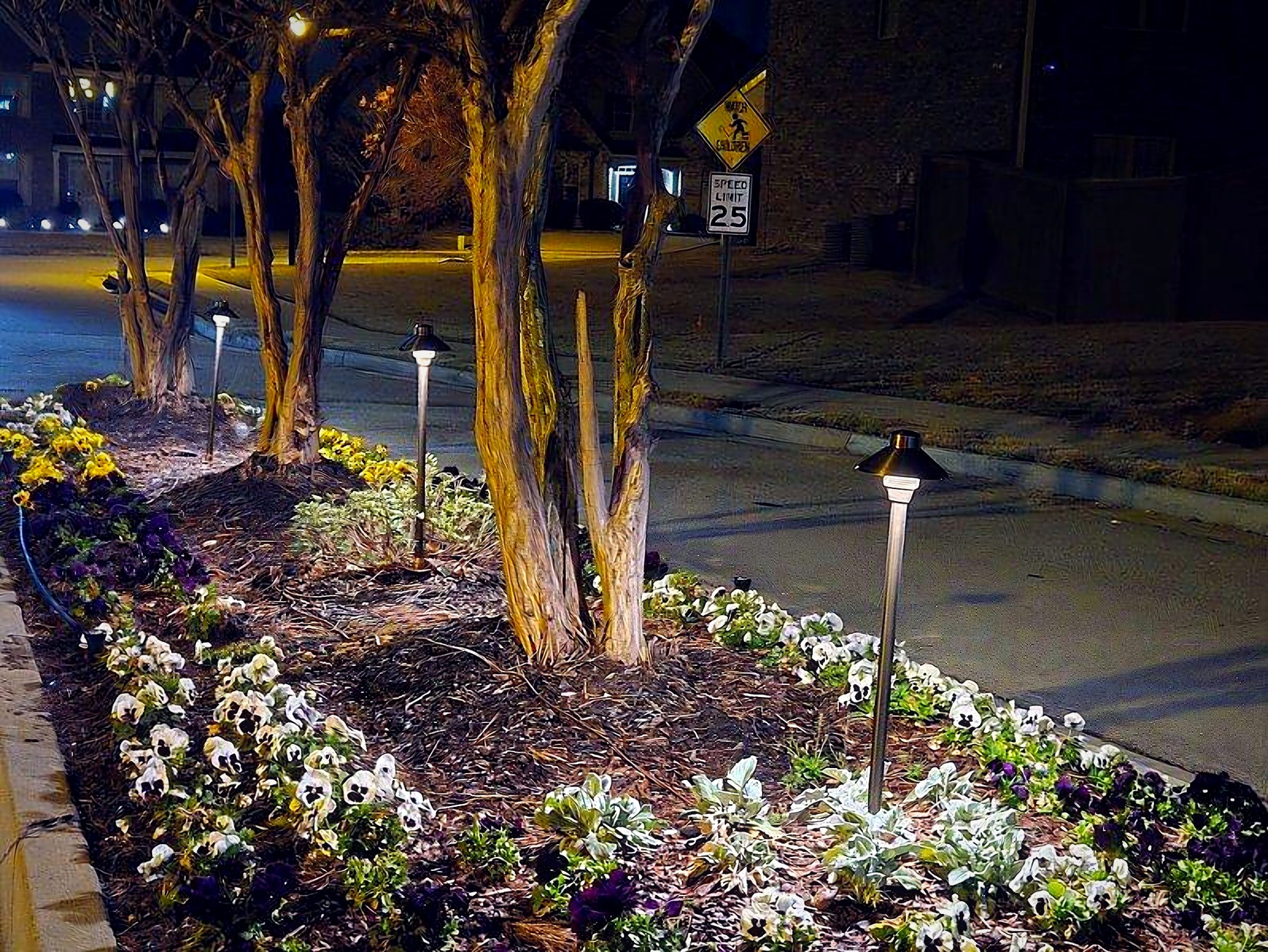 What Landscape Lighting Really Returns for Buckhead & Brookhaven Homes
