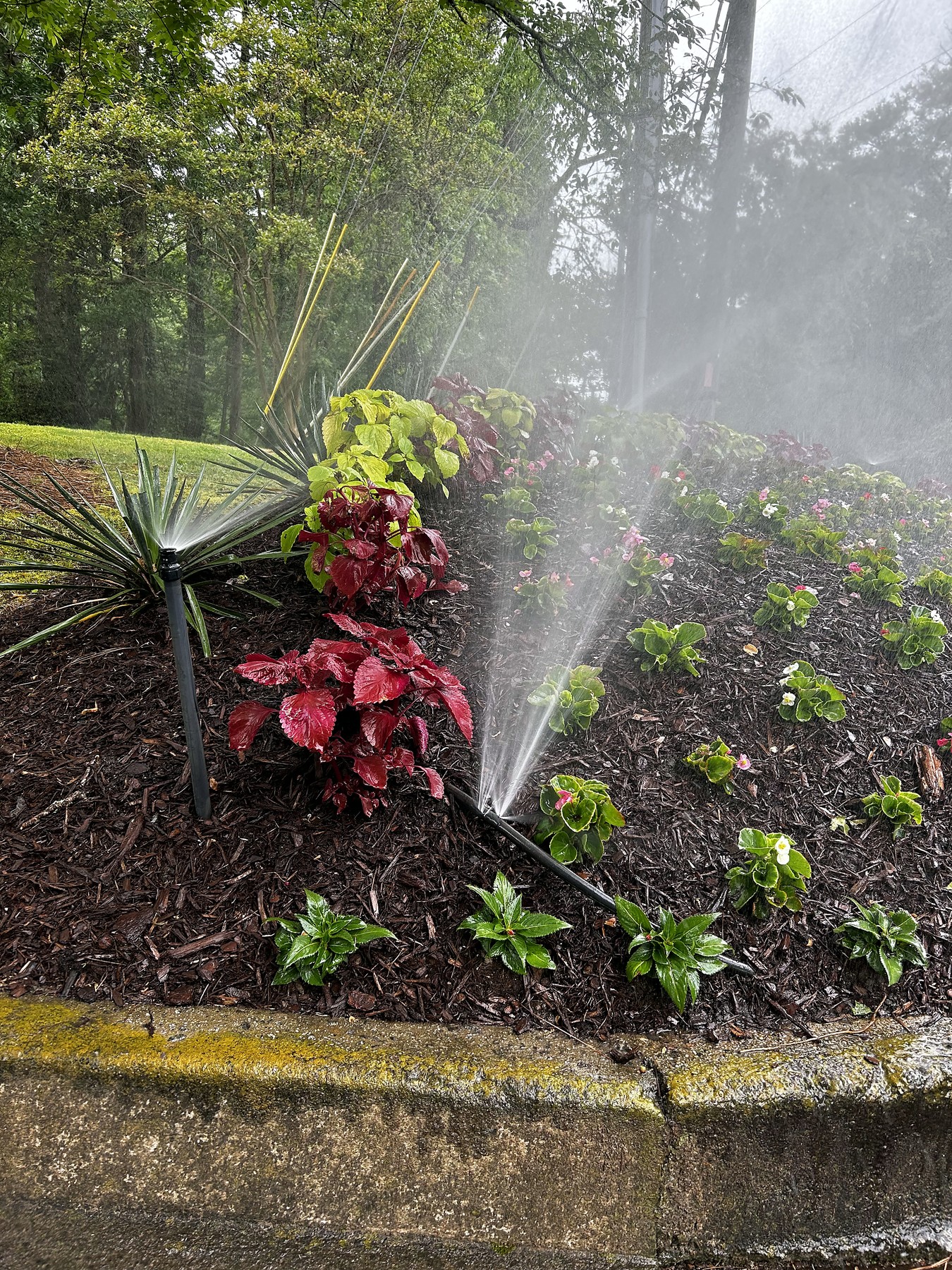 Red Clay & Sprinklers: Designing Irrigation for North Atlanta Soil